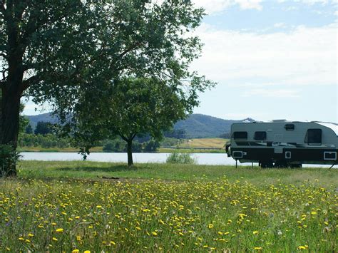 Environmentalists explain why wallace lake is vital for the ecosystem 2