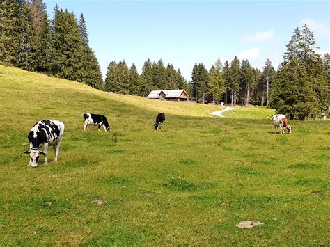 Oberdorf Schwendiseen Oberdorf Bergbahnen Wildhaus Ag