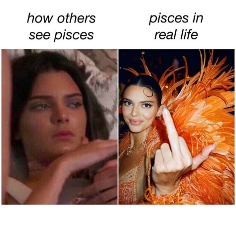 Best Pisces Memes That Describe This Zodiac Sign Artofit