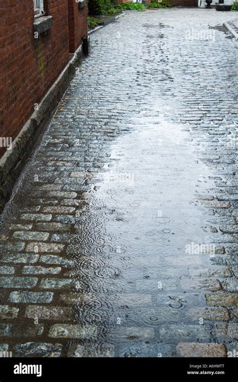 Paving Stones Puddles Stock Photo Alamy