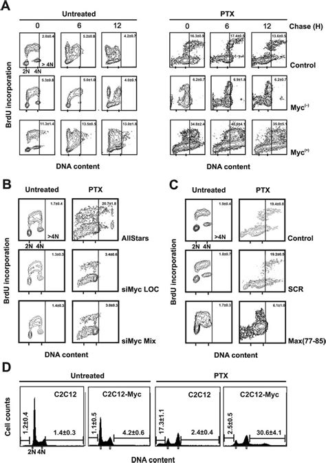 Myc Overexpression Enhances Ptx Induced Endoreduplication A Flow