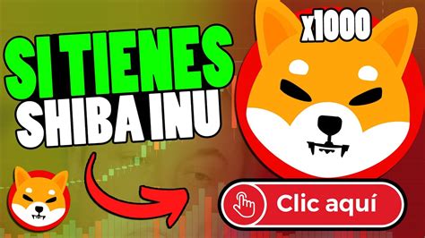 Si Has Invertido En Shiba Inu Mira Este V Deo Noticias Shiba Inu A