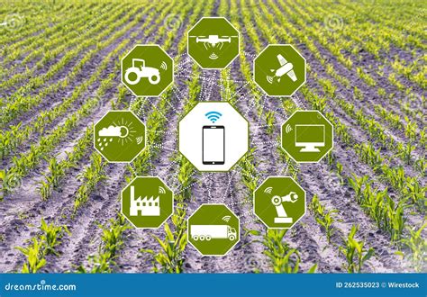 Producción De Granos Con Tecnologías Agrícolas Modernas Un Concepto