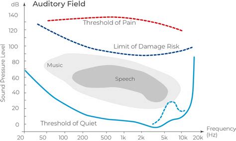 Sound frequency: what to know to measure? | Svantek Academy