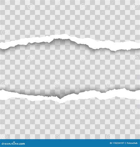 Ripped Paper Edge Vector