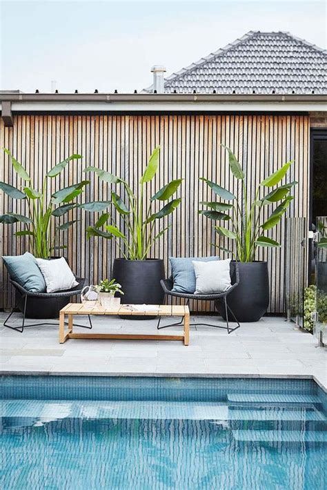 Modern Planters Around Pool Thuem Garden Plant