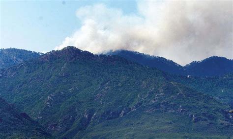 Around 90pc Fires In Margalla Hills Work Of Villagers Iwmb Pakistan