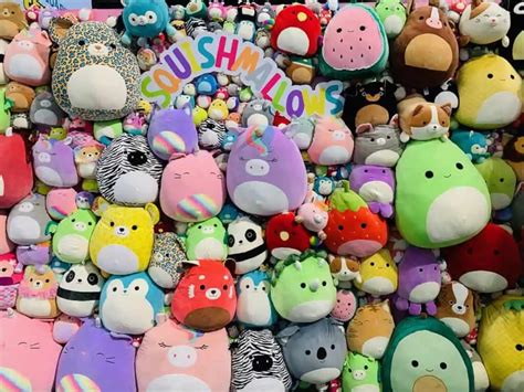 Best 24 Inch Squishmallows - Avid Plush