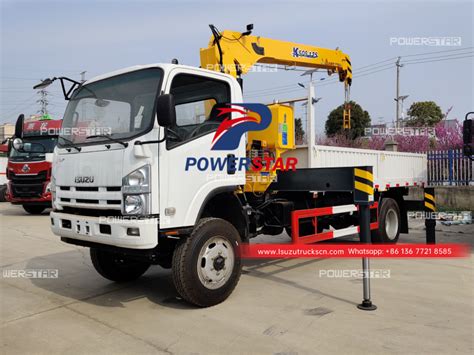 Philipppines Japan Isuzu X Npr Elf P Truck Boom Crane Boom Truck