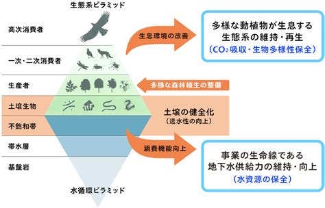 生物多様性｜環境｜サステナビリティ｜サントリー食品インターナショナル