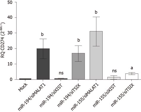 Net Impact Of Ectopic Mir P And Mir P Expression On