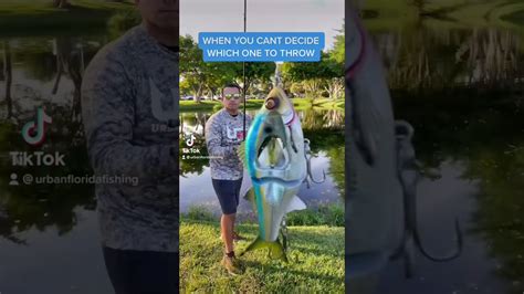 Cant Decide What Lure To Use Fishing Southfloridafishing Baits