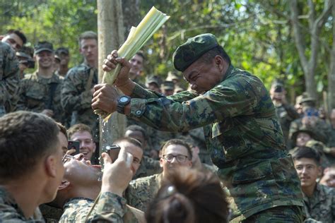 DVIDS Images Cobra Gold 19 31st MEU Marines Participate In Jungle