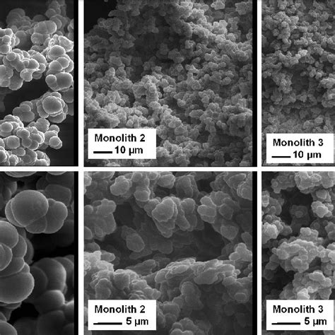 Scanning Electronic Microscopy (SEM) photos of three monoliths 1–3 ...