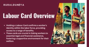 labour card state wise benefits apply renew  verify