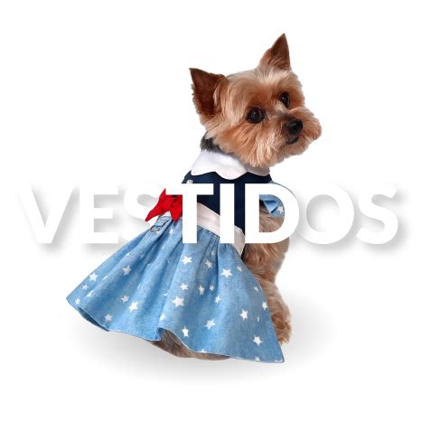 Moldes Para Ropa De Perro Chihuahua Ropita De Perro