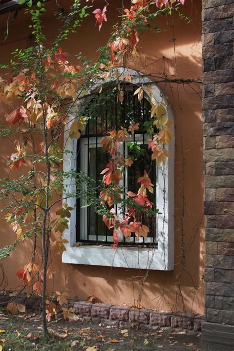 Autumn Story Nude Pics XHamster