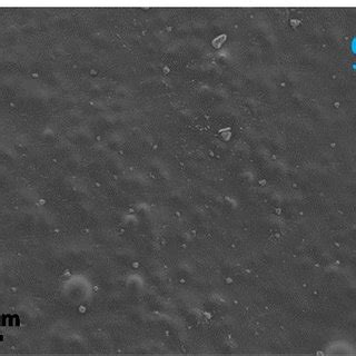 Micrographs obtained by high resolution scanning electron microscope ... 