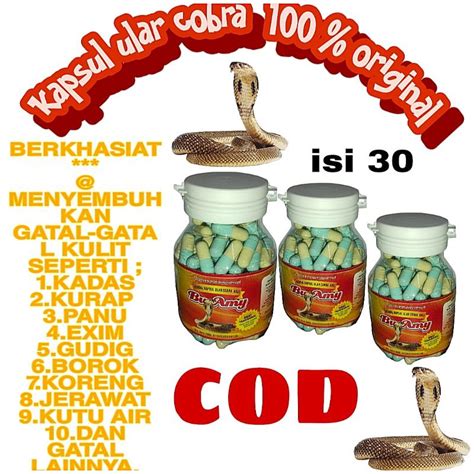 Jual Kapsul Ular Cobra Asli Bu Amy Obat Segala Penyakit Kulit Gatal