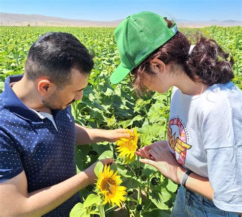 Tohumluklar Yerinde Kontrol Edildi Afyon Haber Odak Gazetesi Son