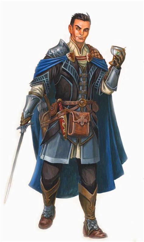 Human Swashbuckler Noble Pathfinder Rpg Pfrpg Dnd Dandd D20 Fantasy