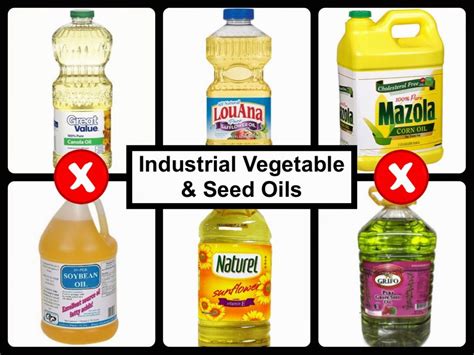 Reasons Not To Use Industrial Seed Oils P D Mangan Senior Fitness