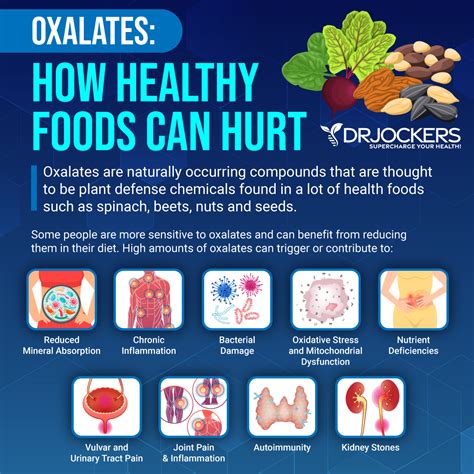 Could You Benefit from a Low Oxalate Diet? - DrJockers.com