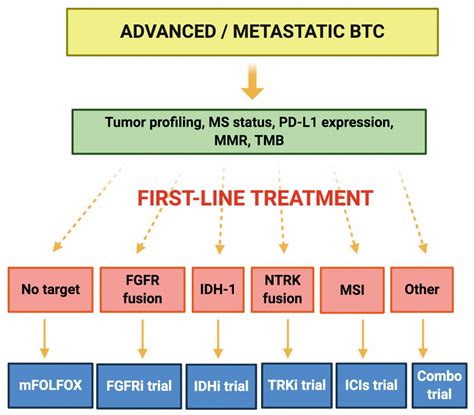 Second Line Treatment In Advanced Biliary Tract Cancer Today And