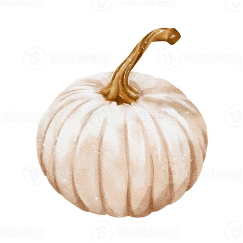 Autumn Pumpkins Watercolor Png