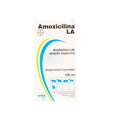 Amoxicilina La Antibi Tico De Alto Espectro Premium Pet Care