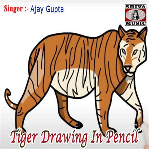 Easy Tiger Pencil Drawings