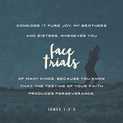 James‬ ‭12 8‬ ‭nlt‬‬ With Images Consider It Pure Joy Book Of