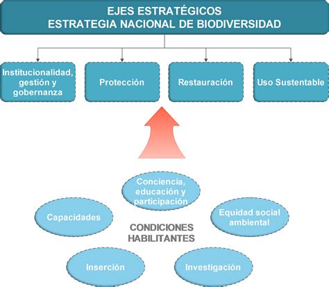 Marco Estrat Gico De La Estrategia Nacional De Biodiversidad