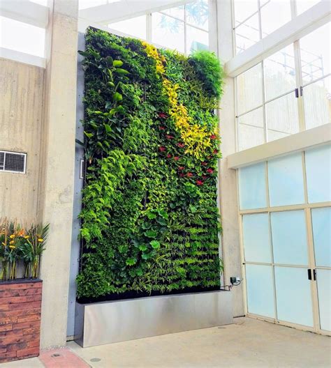 Easy Affordable Living Walls You Can Grow Living Wall Plant Wall