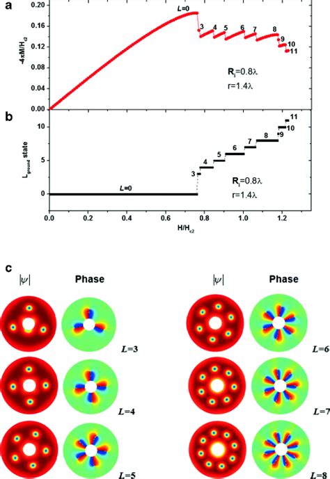 Magnetization A The Vorticity Of The Ground State B And The