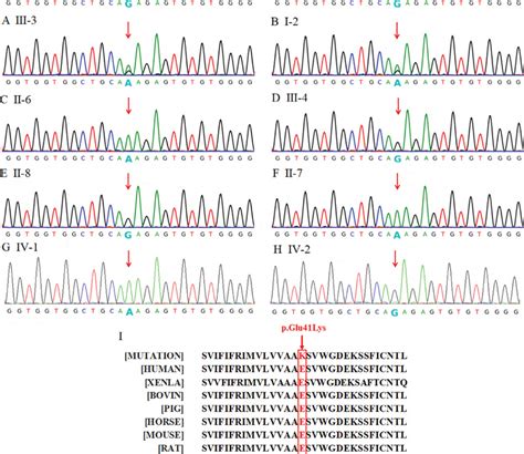 Sanger Sequencing And Conservation Analysis Results Of The C 121G A