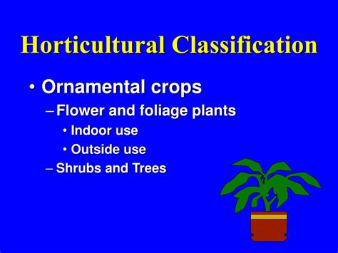 Ppt Horticultural Classification Powerpoint Presentation Free