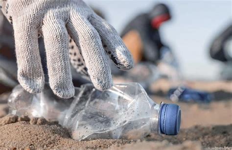 Ação de Sensibilização Ambiental Limpeza da Praia de Matosinhos