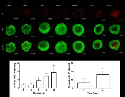 Images Of Live Dead Stained Spheroids A B And The Quantification Of