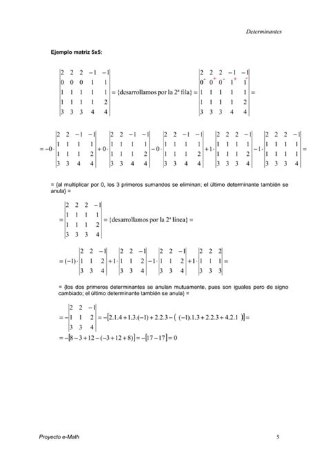 Calculo Determinantes N X N Pdf