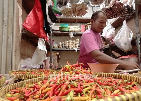 Harga Cabai Semakin Pedas Rp 95 Ribu Per Kilogram Nyaris Sama Harga