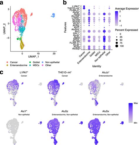 TE Expression Detected With SoloTE During Early Gastric Cancer A UMAP