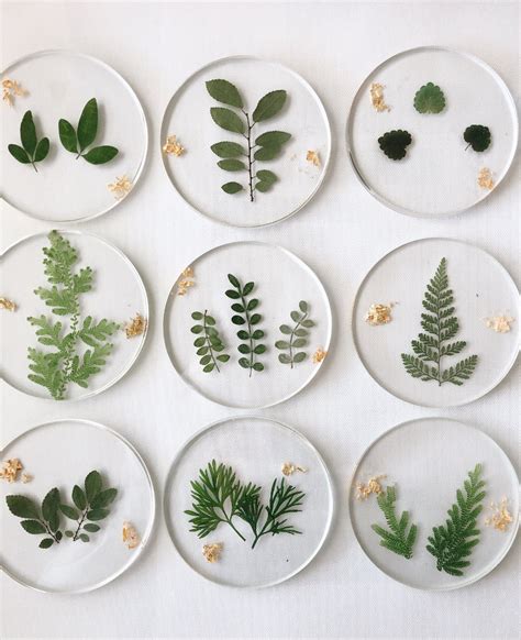 Green Leaves Round Resin Coasters Dried Pressed Leaves With Etsy In 2021 Resin Coasters