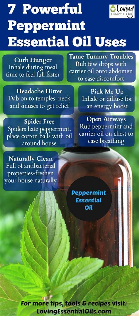 Peppermint Essential Oil Uses And Benefits With Diy Recipes Recette