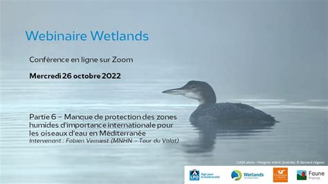 Synth Se Wetlands R Sultats Du Comptage Annuel Des Oiseaux Deau