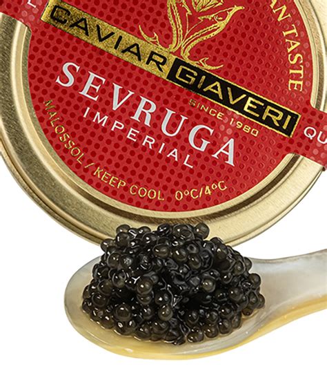 Caviar Sevruga: Italian-Origin, Small Grains, Bold Flavor | IHOC