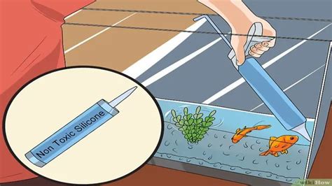 How To Fix A Leaking Fish Aquarium Expert Tips For A Leak Free Tank