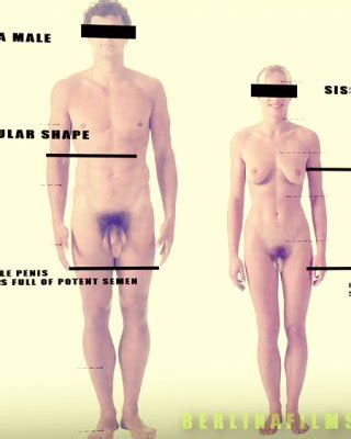 Sissy Art Porn Pictures Xxx Photos Sex Images Pictoa