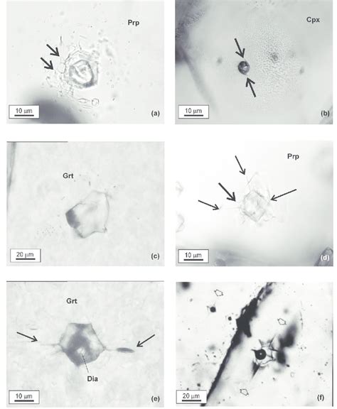 Photomicrographs Showing Post Trapping Modifications In Fi And Msi A Download Scientific