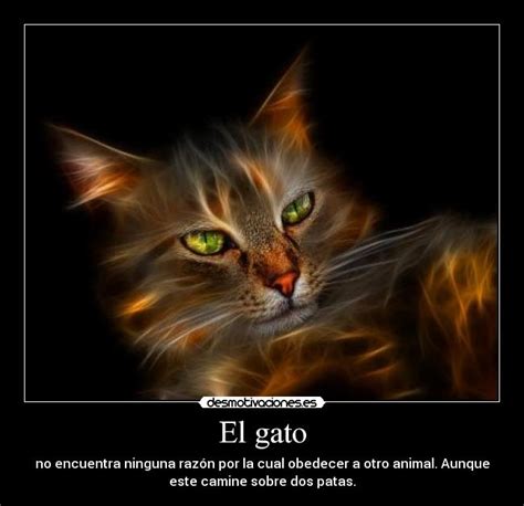 El Gato Desmotivaciones